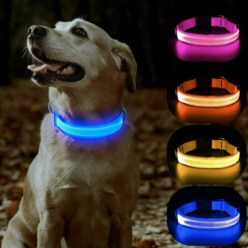 USB Rechargeable LED Pet Dog Collar Flashing Luminous Safety Light up Nylon UK E4U