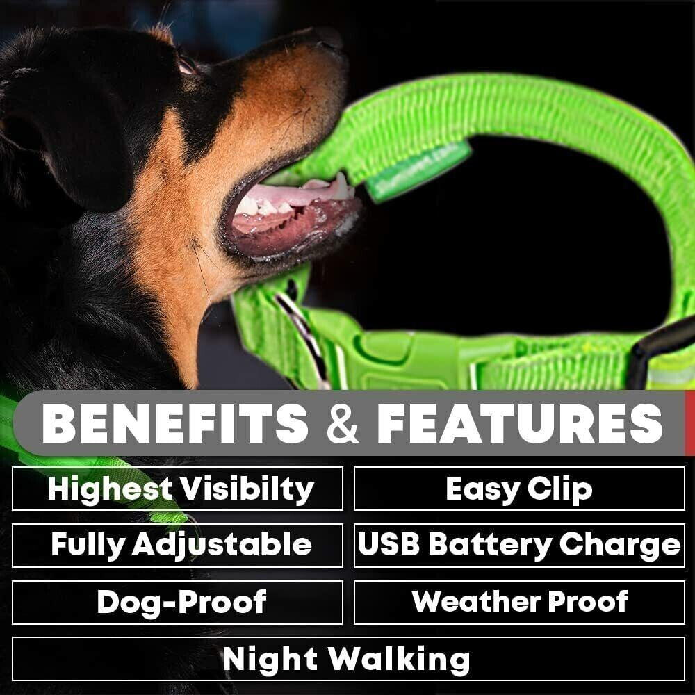 USB Rechargeable LED Pet Dog Collar Flashing Luminous Safety Light up Nylon UK E4U