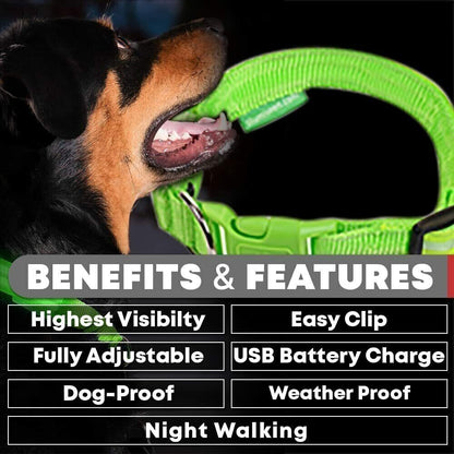 USB Rechargeable LED Pet Dog Collar Flashing Luminous Safety Light up Nylon UK E4U