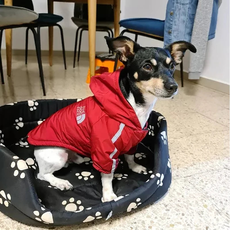 Waterproof Dogs Clothes Reflective Pet Coat for Small Medium Dogs Winter Warm Fleece Dog Jackets Puppy Raincoat Chihuahua Outfit E4U