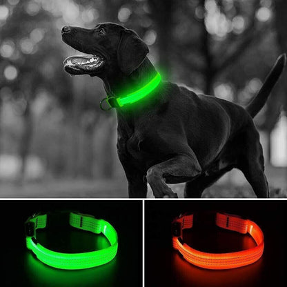 USB Rechargeable LED Pet Dog Collar Flashing Luminous Safety Light up Nylon UK E4U