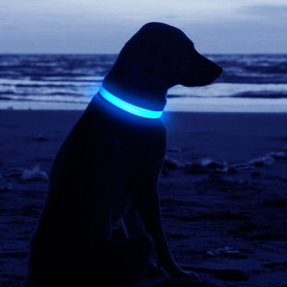 USB Rechargeable LED Pet Dog Collar Flashing Luminous Safety Light up Nylon UK E4U