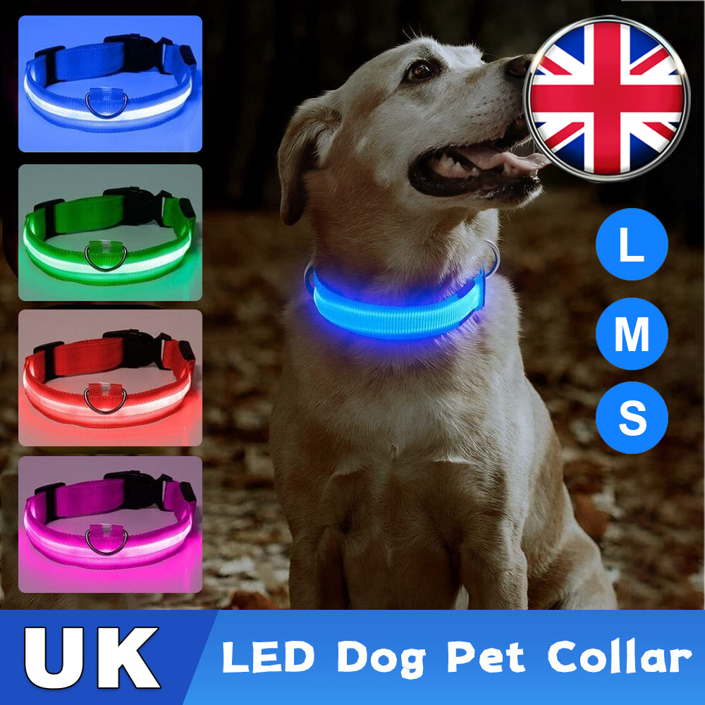 USB Rechargeable LED Pet Dog Collar Flashing Luminous Safety Light up Nylon UK E4U