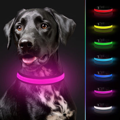 USB Rechargeable LED Pet Dog Collar Flashing Luminous Safety Light up Nylon UK E4U