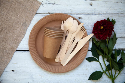 Disposable Birch Wood Cutlery Forks, Biodegradable and Earth Friendly, 6 Inch Length - 1 Pack of 100 Pcs E4U