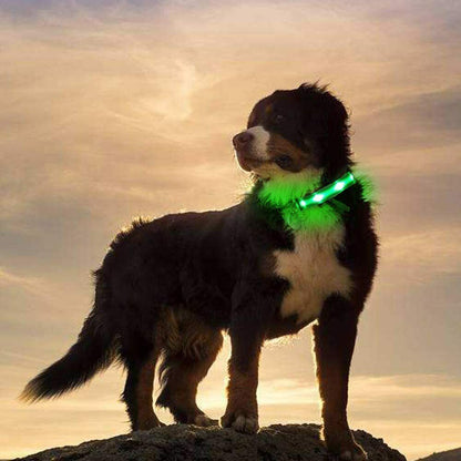 USB Rechargeable LED Pet Dog Collar Flashing Luminous Safety Light up Nylon UK E4U