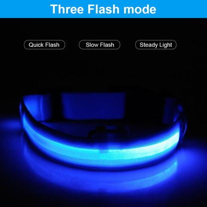 USB Rechargeable LED Pet Dog Collar Flashing Luminous Safety Light up Nylon UK E4U